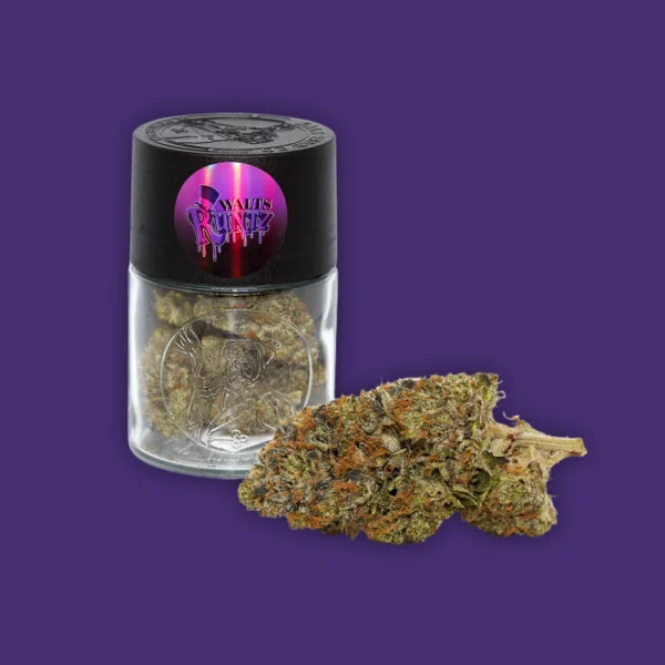 A 7g jar of Walt Herb Co Walts Runtz with a purple background. | Mush.City