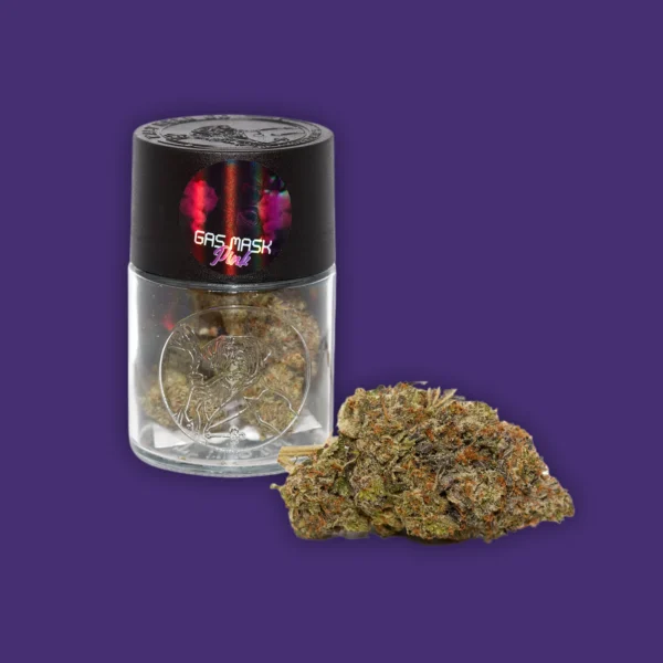 Walt Herb Gas Mask Pink 01