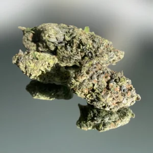 Mush City Death Tuna 01