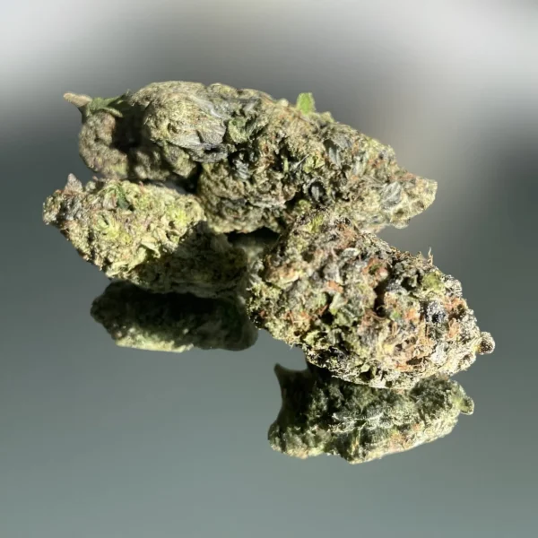 Mush City Death Tuna 01