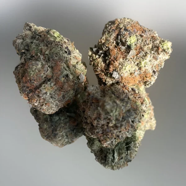 Mush City Pink Death 01