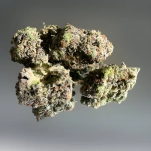 Mush City Pink Goo 01