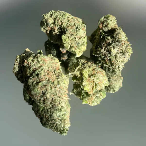 Mush City Pink Stuffer 01