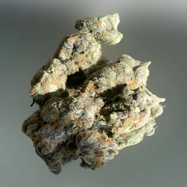 Mush City Super Boof 01