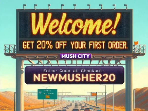 Welcome 20pc Off 01 4